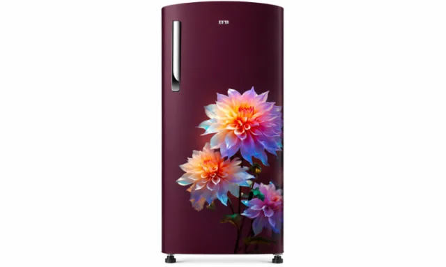 IFB 222 Litres 3 Star Direct Cool Refrigerator with Metal-Cool (IFBDC-2483FRN, Divine Bliss Red)