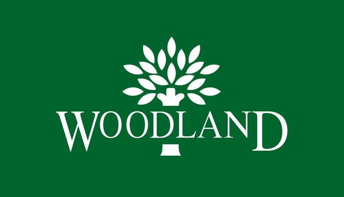 Wood Land