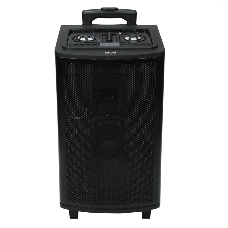 Aiwa Multimedia Speaker TR101