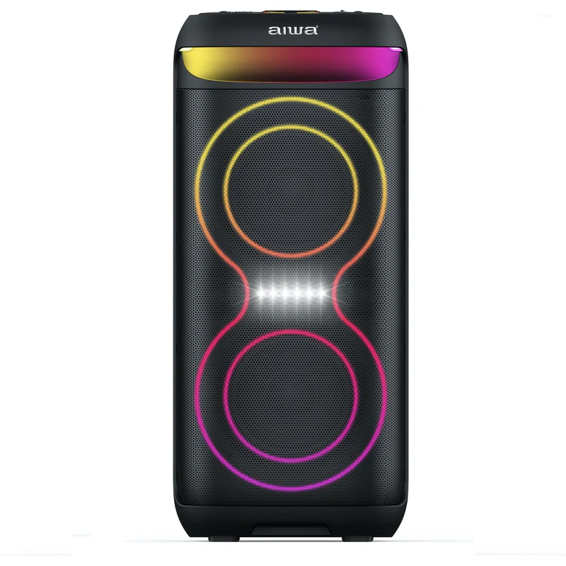 Aiwa Multimedia Speaker System