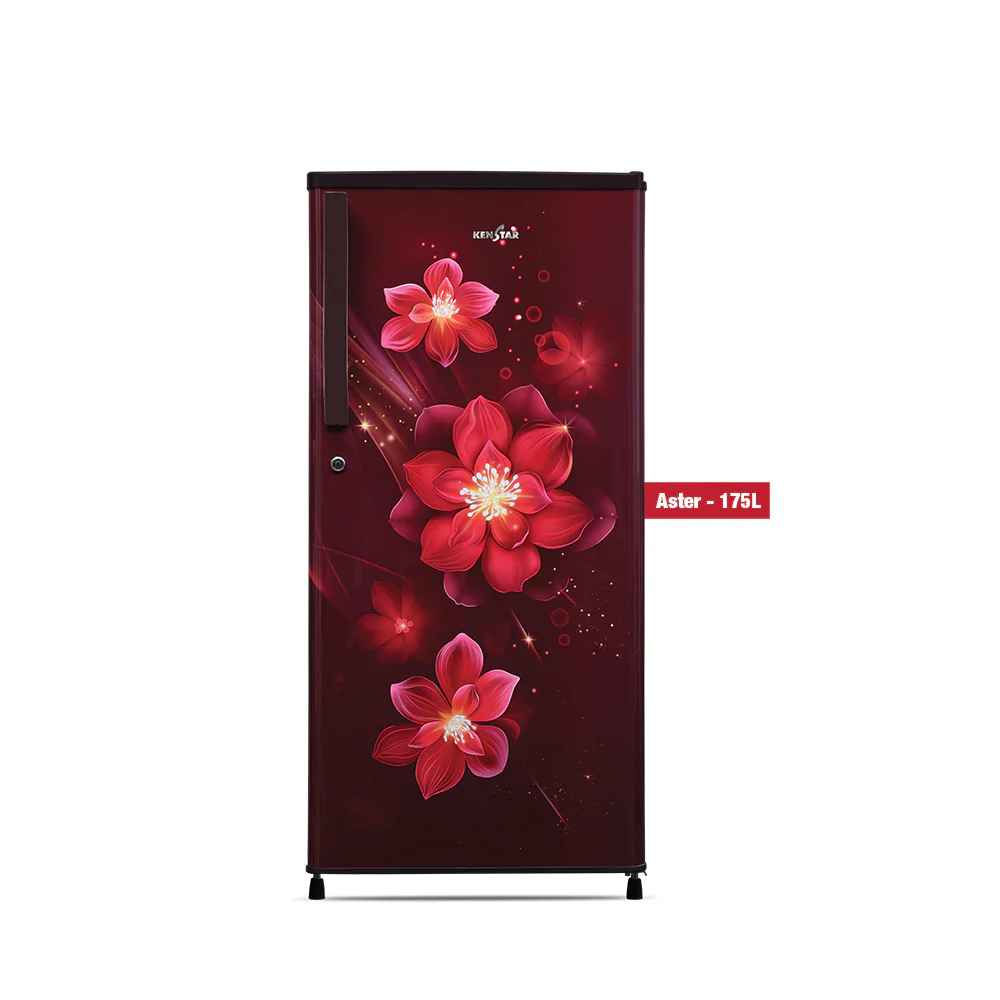 Kenstar 175 Litre 2 Star Single Door Refrigerator with Stabilizer-free operation and 10 Years Compressor Warranty, Aster Wine, REFKD202PTAS